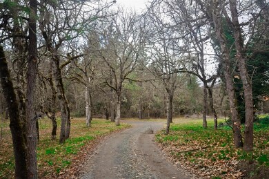 10762 Blackwell Rd, Central Point, OR 97502 - photo 6