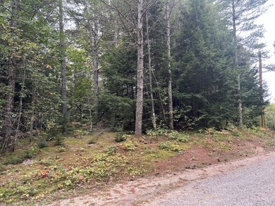 14 Fernalds Hill Way, Stow, ME 04037 - photo 6