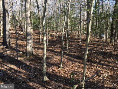 12791 Westside Rd, Manassas, VA 20112 - photo 3