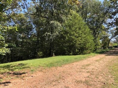 23352 Sylvia Hyde Rd, Siloam Springs, AR 72761 - photo 4