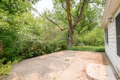 Front Treed Yard