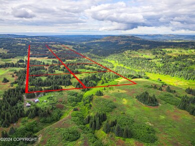 L4 Nka Crossman Ridge Ave, Homer, AK 99603 - photo 6