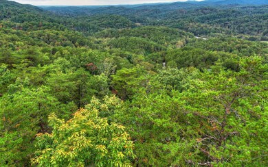 0 Laurel Ridge Way unit 297592, Cherry Log, GA 30522 - photo 2