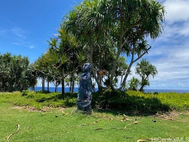 S Puni Lapa Loop, Pahoa, HI 96778 - photo 5