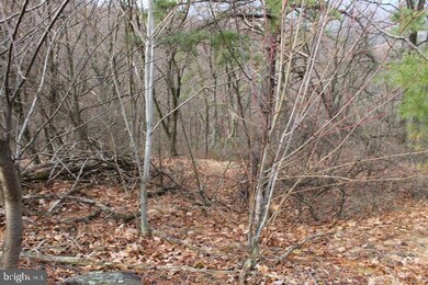 LOT 337 Nathaniel Mt Rd, Moorefield, WV 26836 - photo 6