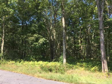 Lot 130 Springwood Dr, Hawley, PA 18428 - photo 6