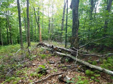 LOT 7+8 Susie Driscoll Rd, Campton, NH 03223 - photo 5