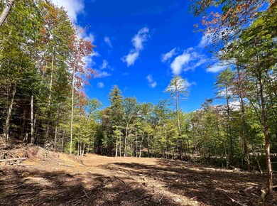 470 Daniel Webster Hwy, Plymouth, NH 03264 - photo 4