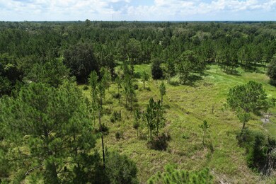 DJI_0582