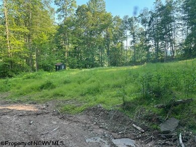 TBD Cheat Valley Hwy, Parsons, WV 26287 - photo 3