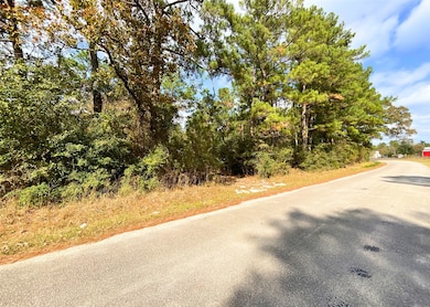 0 Frank Cloud Rd, Huntsville, TX 77320 - photo 2