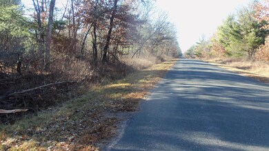 Lot 3 Ferry Rd, Grantsburg Township, WI 54840 - photo 3