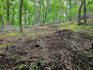 TBD Red Fox Trail, Boone, NC 28607 - photo 5