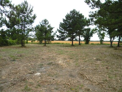 19827 Kimball Ln, Hockley, TX 77447 - photo 5