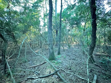 00 Mcdaniel Dr, Magnolia, TX 77354 - photo 2