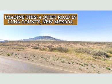 Sunshine Lun unit a New Mexico, Sunshine, NM 88030 - photo 6