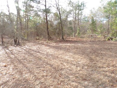 Great home site location