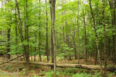 00 State Route 28, Johnsburg, NY - photo 3