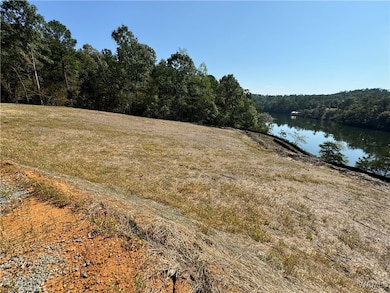 View of Land