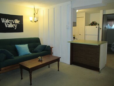 18 Windsor Hill Way unit 55, Waterville Valley, NH 03215 - photo 5