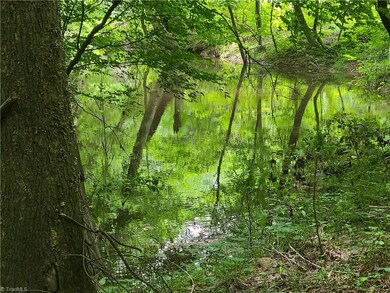 0 Bachelor Creek Rd, Asheboro, NC 27205 - photo 2