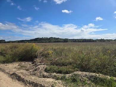 0 Blewer, Cope, SC 29038 - photo 2