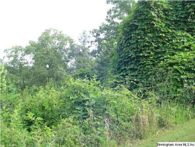 Current Photo of Lot.