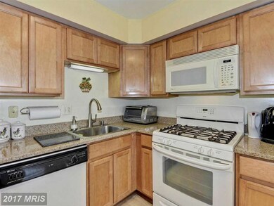 7537 Red Cravat Ct, Columbia, MD 21046 - photo 4