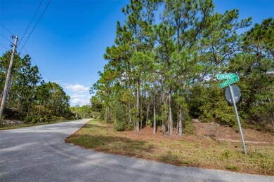 208 Suwannee Dr, Lake Placid, FL 33852 - photo 7