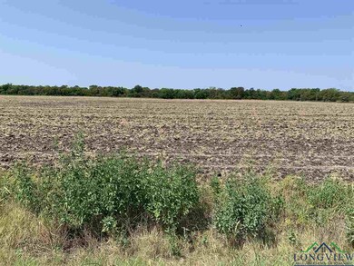 TBD #7 County Road 4307, Greenville, TX 75401 - photo 2