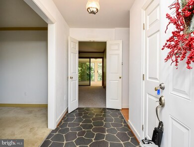 715 Chapman St, Ashland, VA 23005 - photo 6