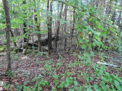 00 Poor Farm Ct unit 5, Wolfeboro, NH 03894 - photo 5