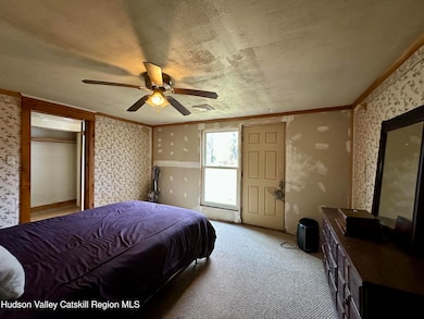 469 Tishauser Rd, Hudson, NY 12534 - photo 6