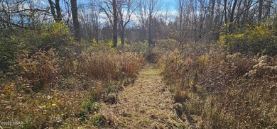 77 Delaware Dr, Damascus Township, PA 18415 - photo 7