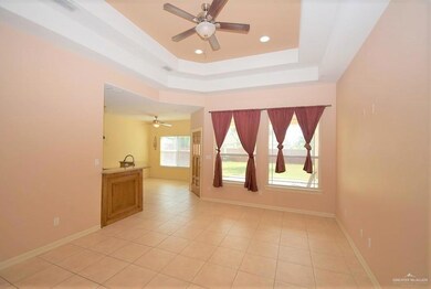 3714 Illeana St, Edinburg, TX 78539 - photo 3