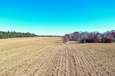 Tbd Flamingo St, Isanti, MN 55040 - photo 2