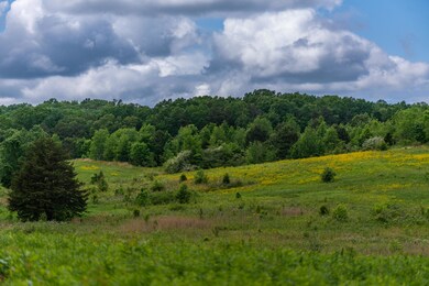 803 Bryant Rd, Cohutta, GA 30710 - photo 5