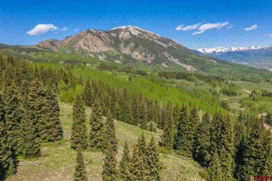 492 Red Mountain Ranch Upper Loop, Crested Butte, CO 81224 - photo 5