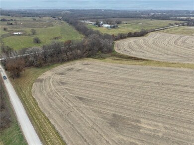 Tract 1 S Pryor Rd, Pleasant Hill Township, MO 64080 - photo 4