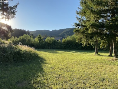 0 1st St, Yoncalla, OR 97499 - photo 4