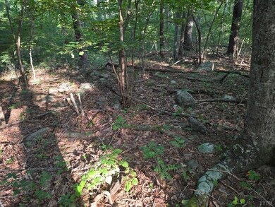 0 Meadors Mill Rd unit 361079, Bedford, VA 24523 - photo 7