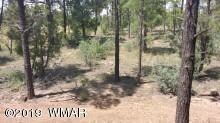MOUNTAINPINES21