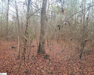 0 Scott Ln, Pelzer, SC 29669 - photo 5