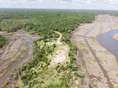 541 Tar Landing Rd, Holly Ridge, NC 28445 - photo 2