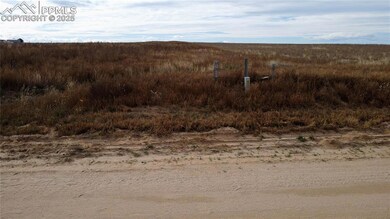 0 S Rush Rd, Rush, CO 80833 - photo 4