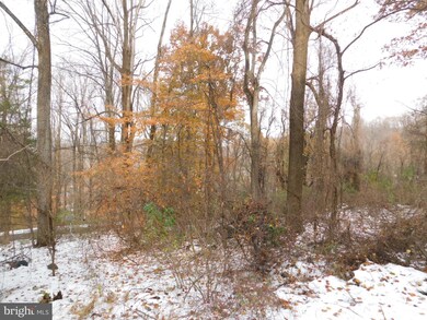 177 Riley Ct, Front Royal, VA 22630 - photo 6