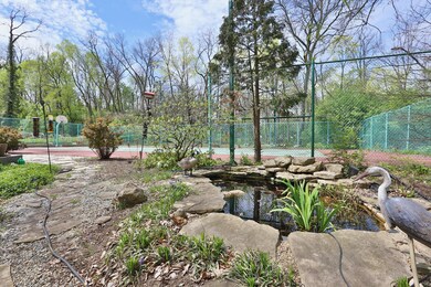 Koi Pond