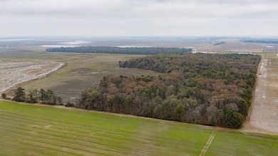 1 Mopac Rd, Brinkley, AR 72021 - photo 6