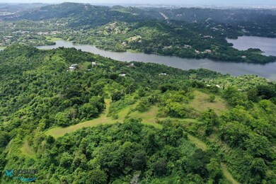 001 Carr 942, Gurabo, PR 00778 - photo 5