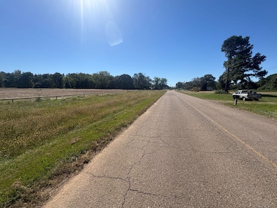 Sanderson Ln, Courtland, AL 35618 - photo 3